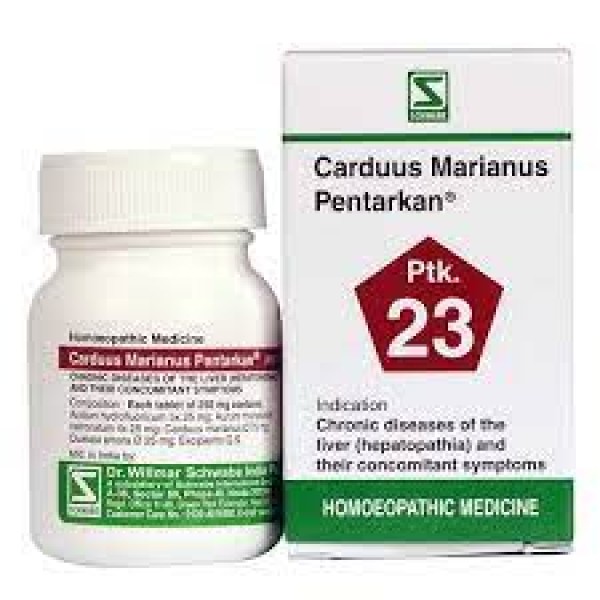 Carduus marianus